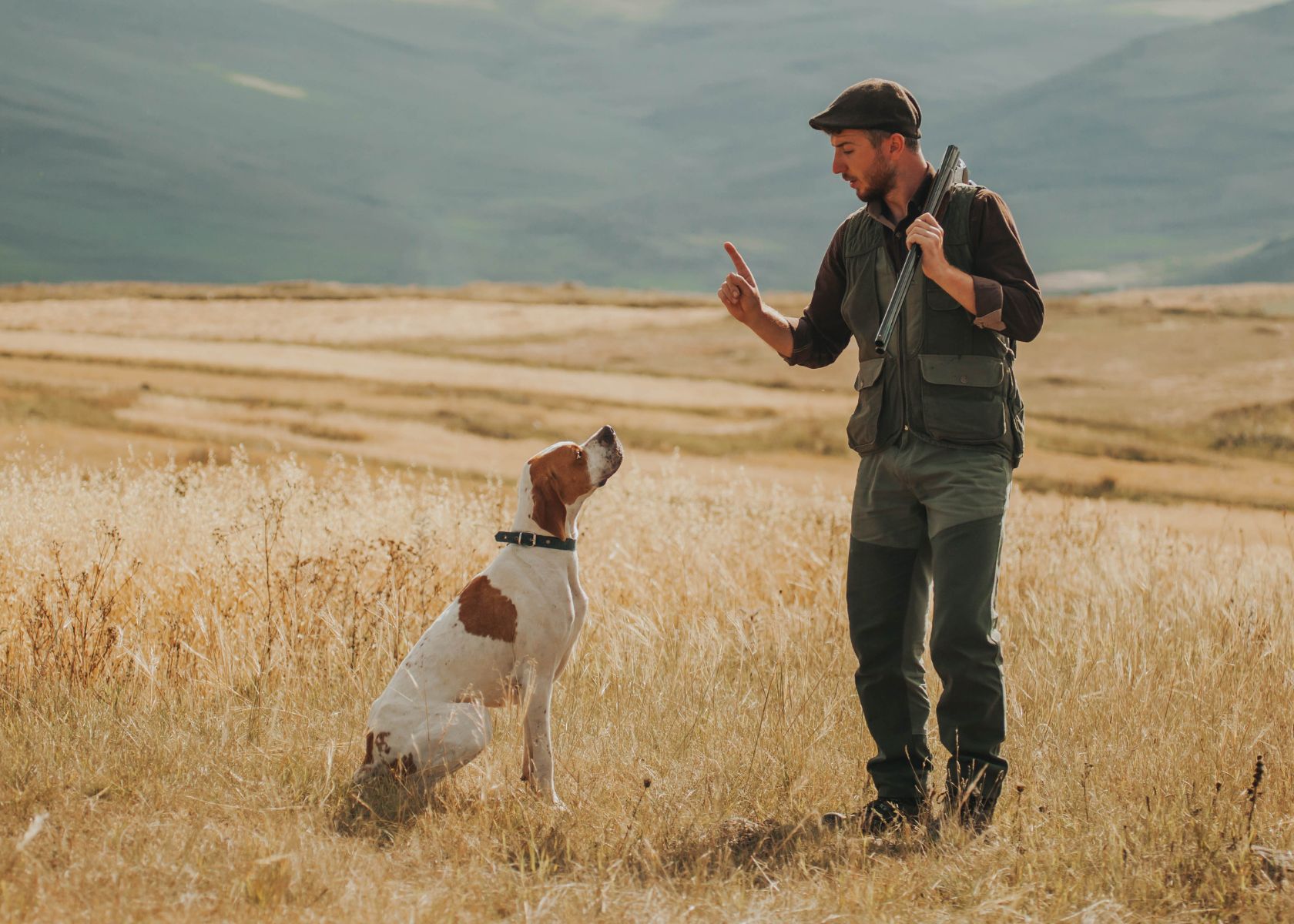What Makes a Good Hunting Dog Breed?