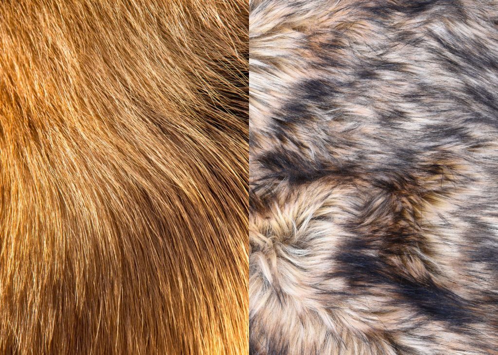 difference between hair and fur