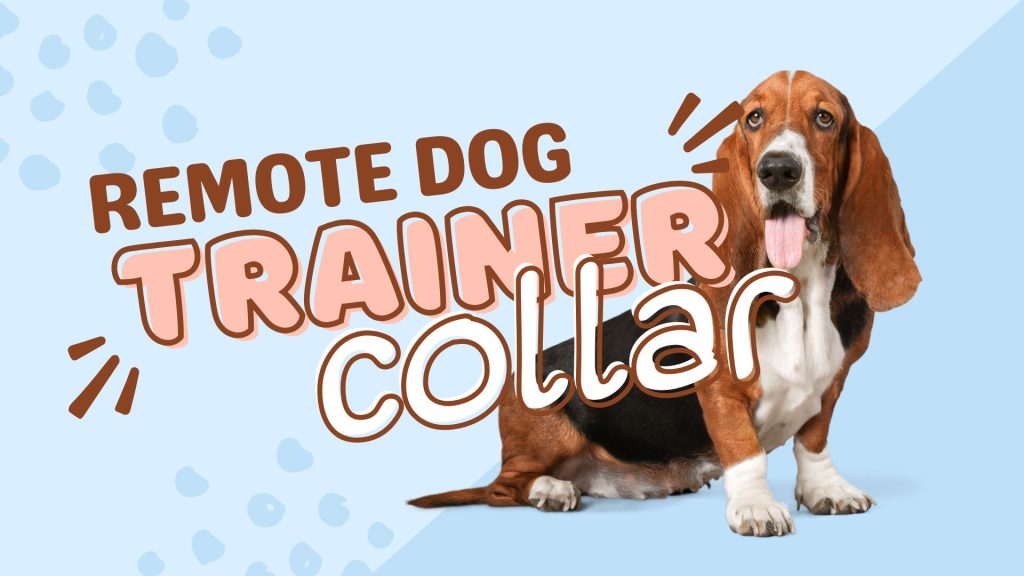 how long do remote dog trainer collars stay charged​